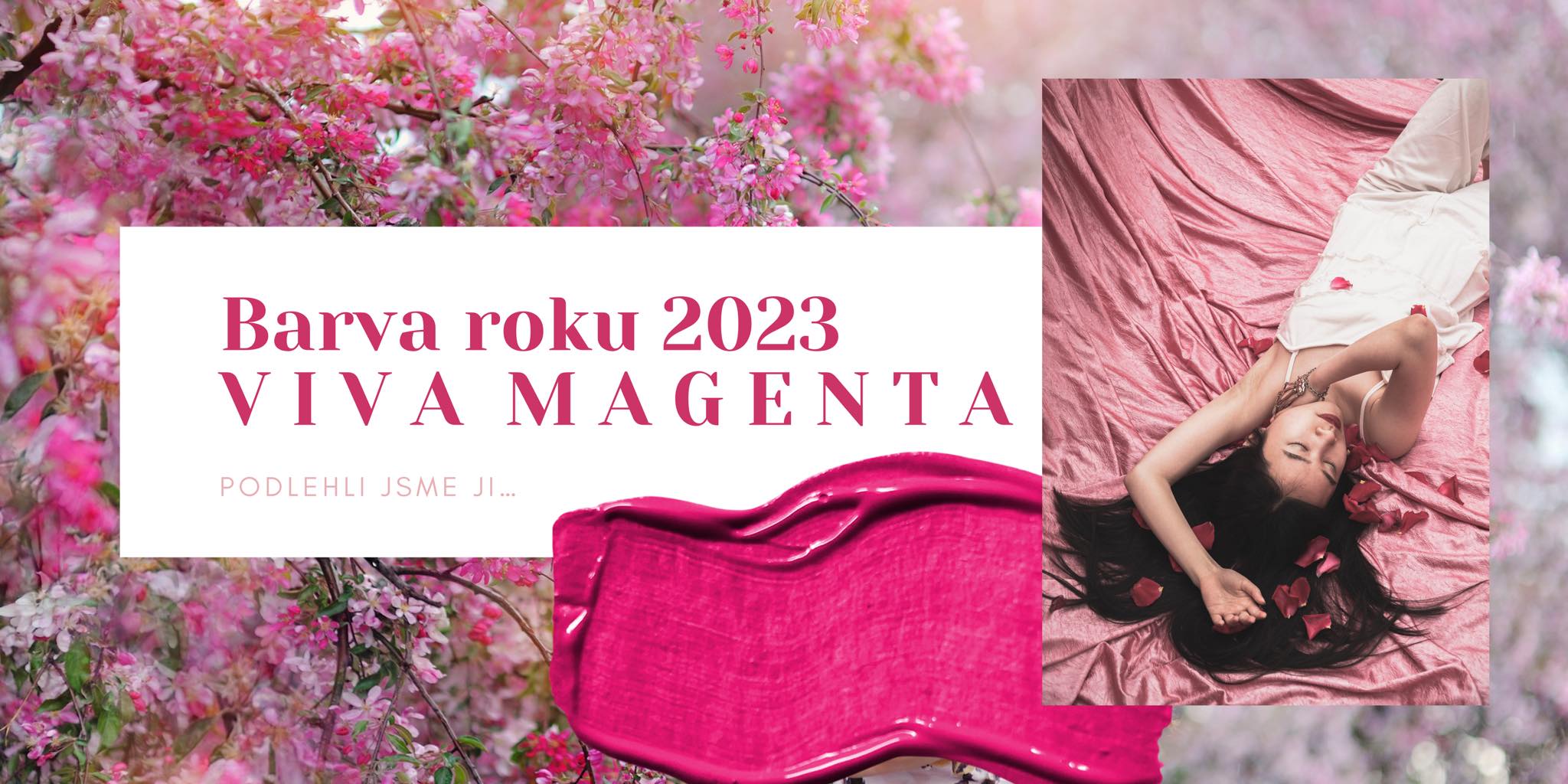 Baner velký barva roku 2023 3